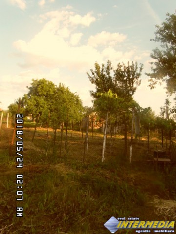 casa-cu-gradina-si-anexede-de-vanzare-in-oarda-83000-euro-2